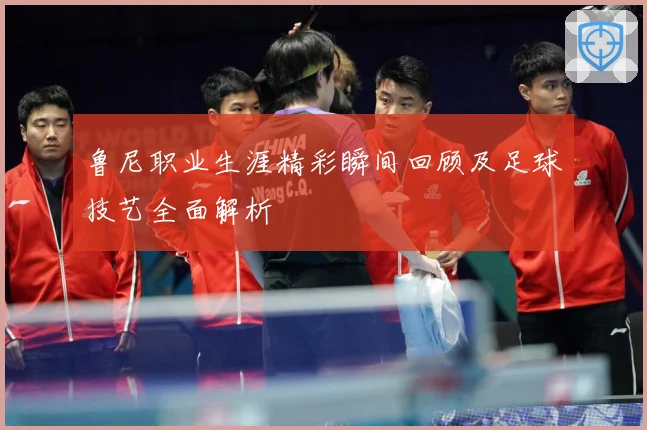 鲁尼职业生涯精彩瞬间回顾及足球技艺全面解析
